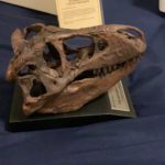 The Nation’s T. Rex 1:10 Scale Skull Replica Review and Unboxing