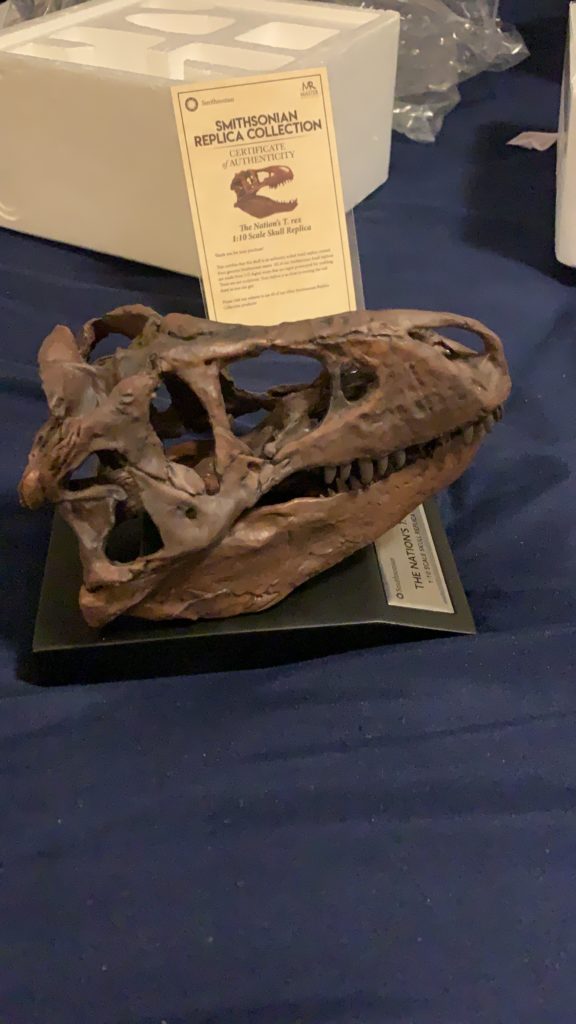 The Nation’s T. Rex 1:10 Scale Skull Replica Review and Unboxing