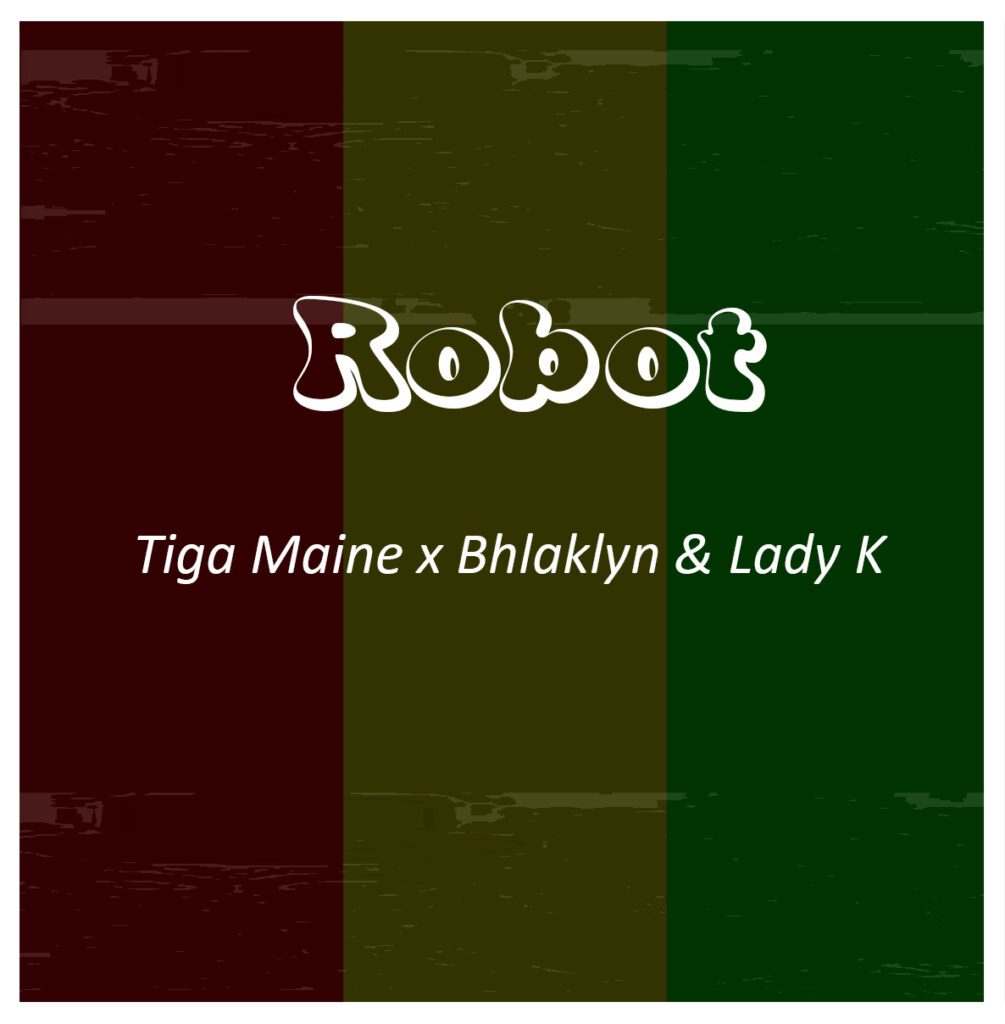 Tiga Maine – Robots Song Review