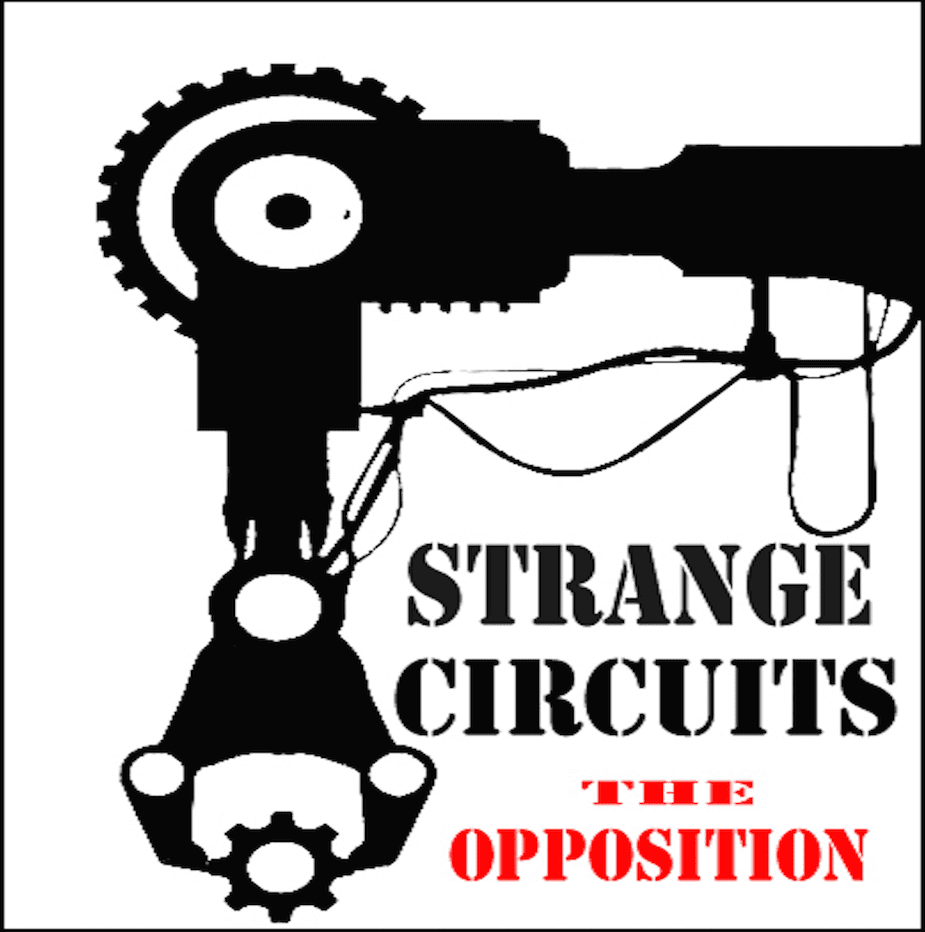 Interview With Strange Circuits