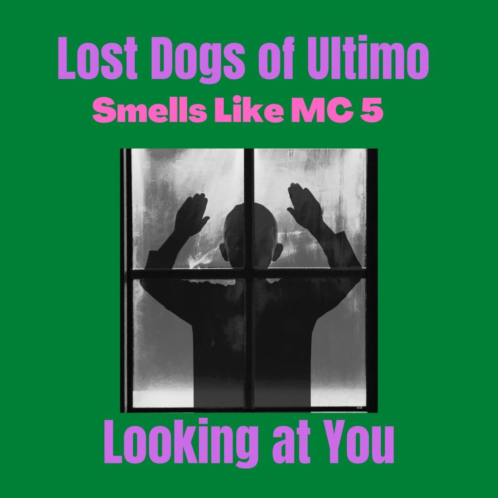 Interview with Lost Dogs of Ultimo