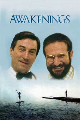 At the Movies with Alan Gekko: Awakenings “90”