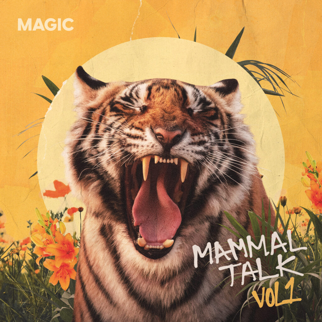 Mammal Talk Unveils Charming New Single “Magic”